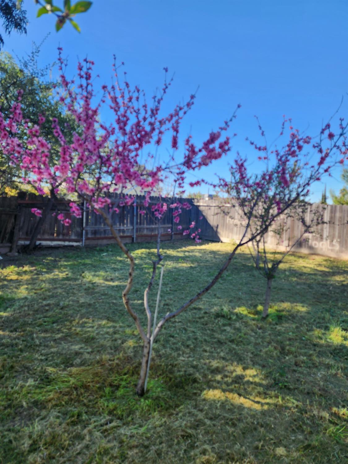 3743 California Ave, Riverbank, CA 95367