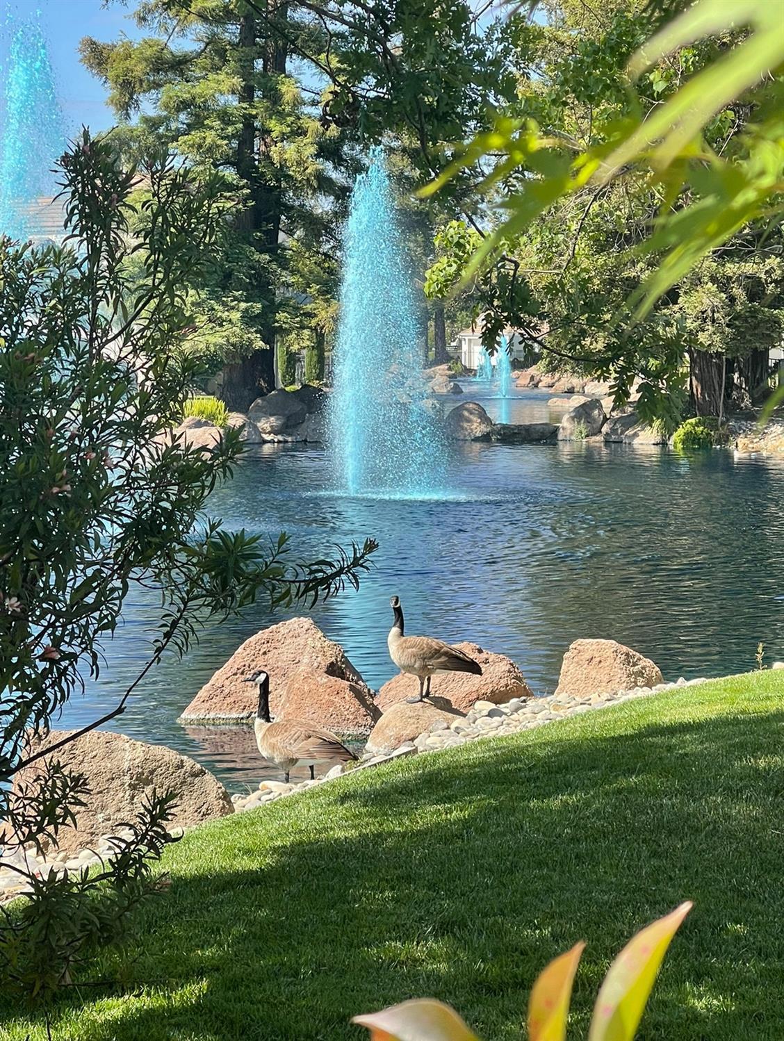 1104 Copper Cottage Ln, Modesto, CA 95355