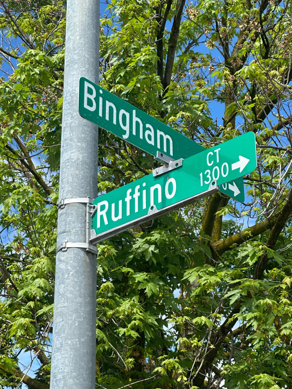 1737 Bingham Ln, Manteca, CA 95336