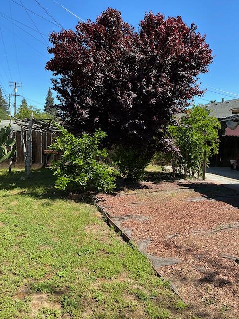 1629 Tonilane, Modesto, CA 95351