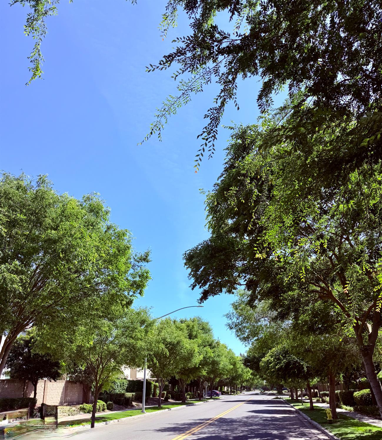 3828 Lookout Dr, Modesto, CA 95355