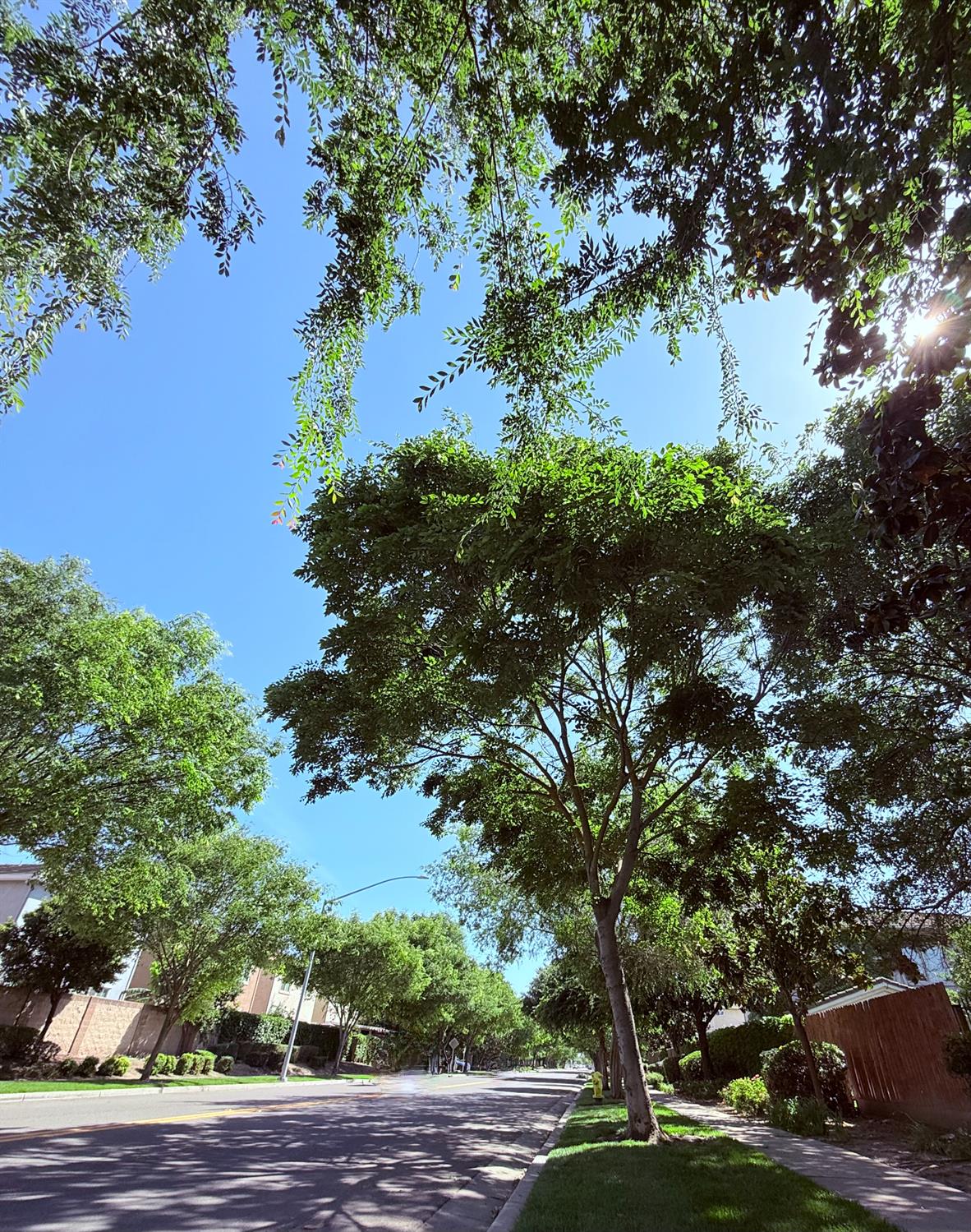 3828 Lookout Dr, Modesto, CA 95355