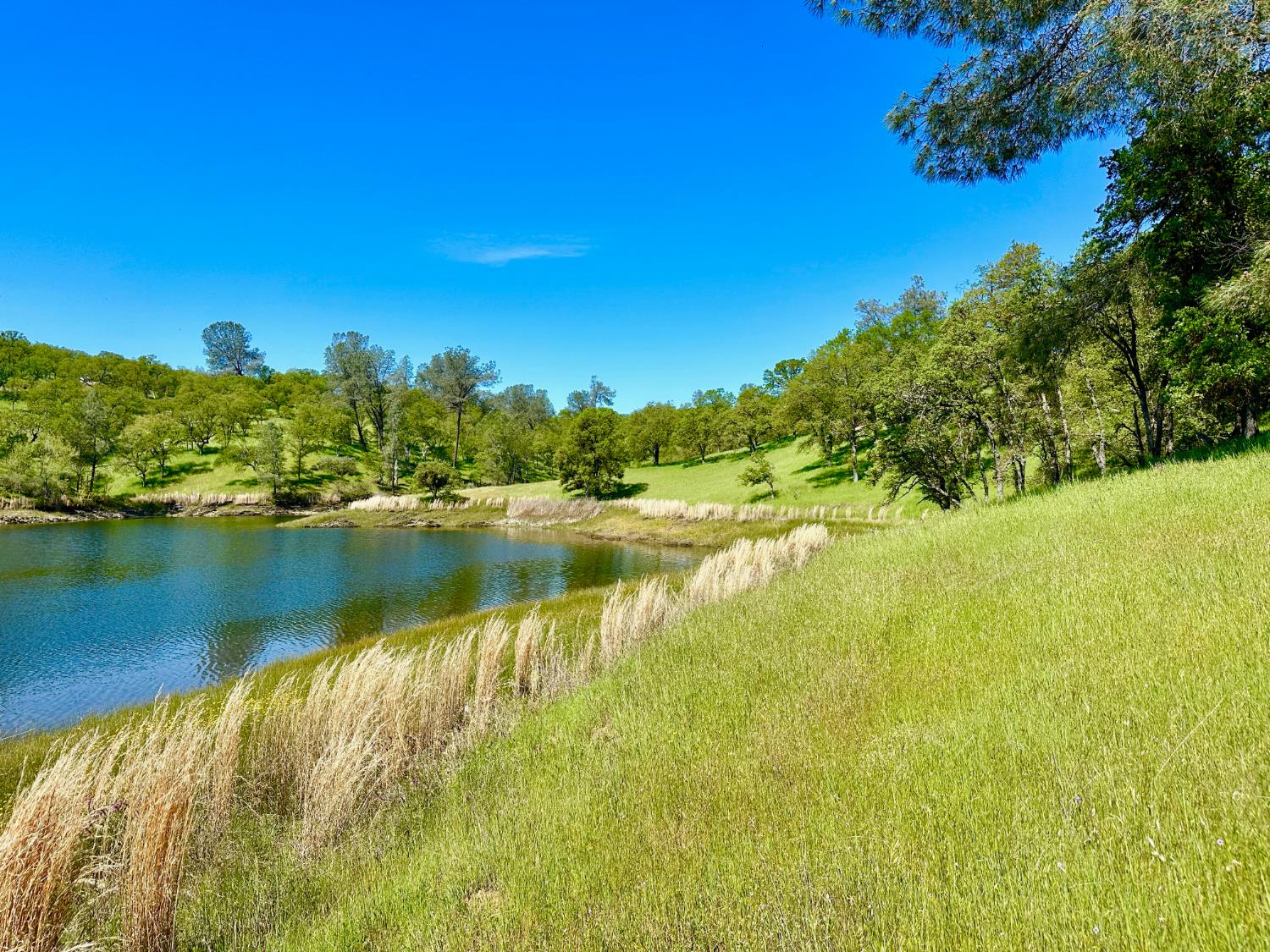 0 25 Lot Sanguinetti Estates, Copperopolis, CA 95228