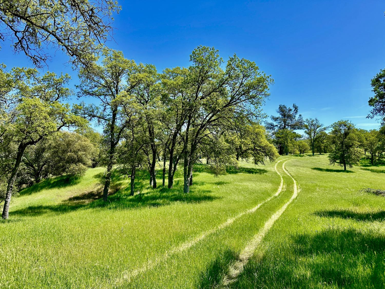 0 25 Lot Sanguinetti Estates, Copperopolis, CA 95228