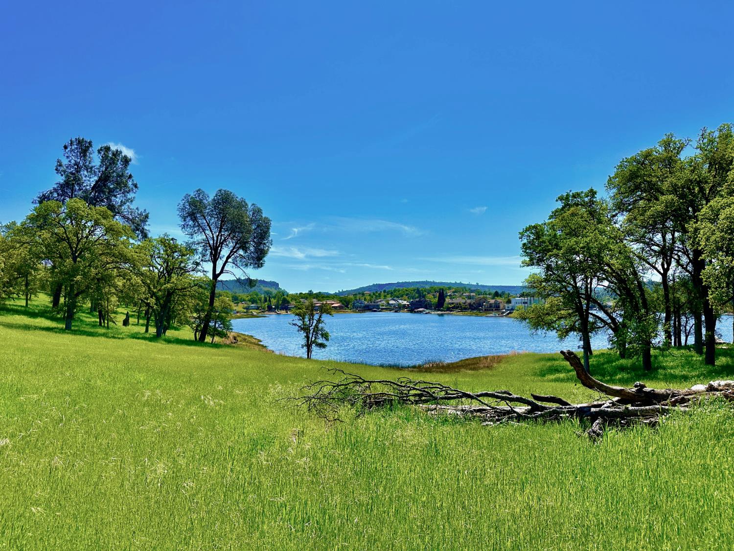 0 25 Lot Sanguinetti Estates, Copperopolis, CA 95228