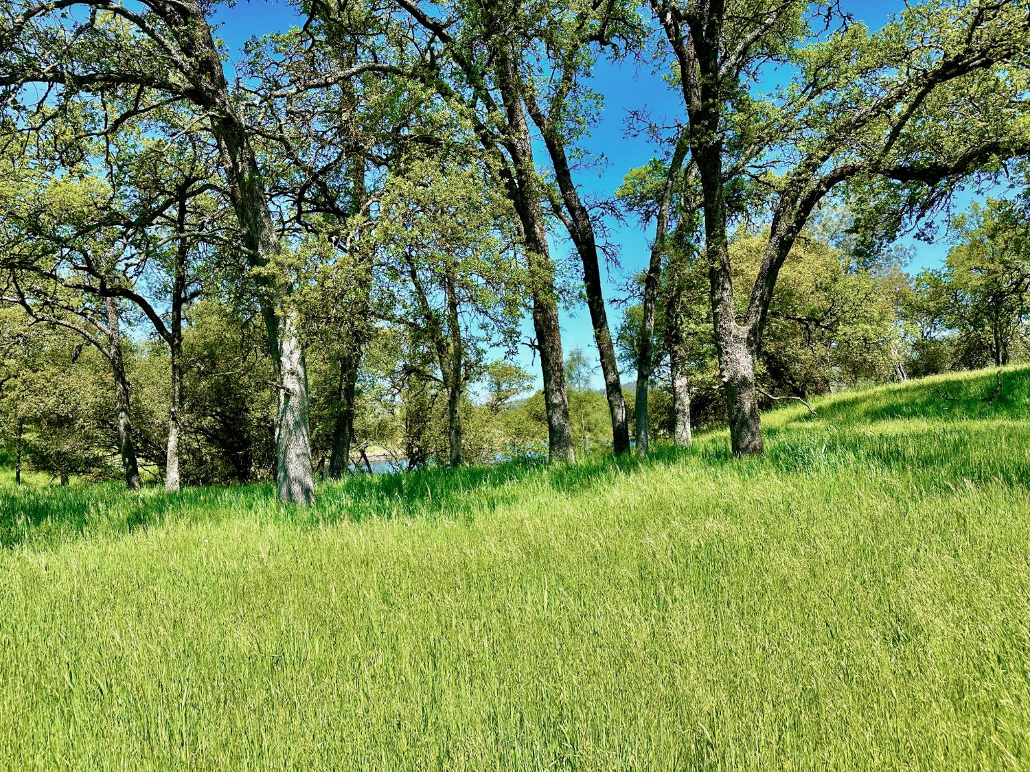 0 25 Lot Sanguinetti Estates, Copperopolis, CA 95228