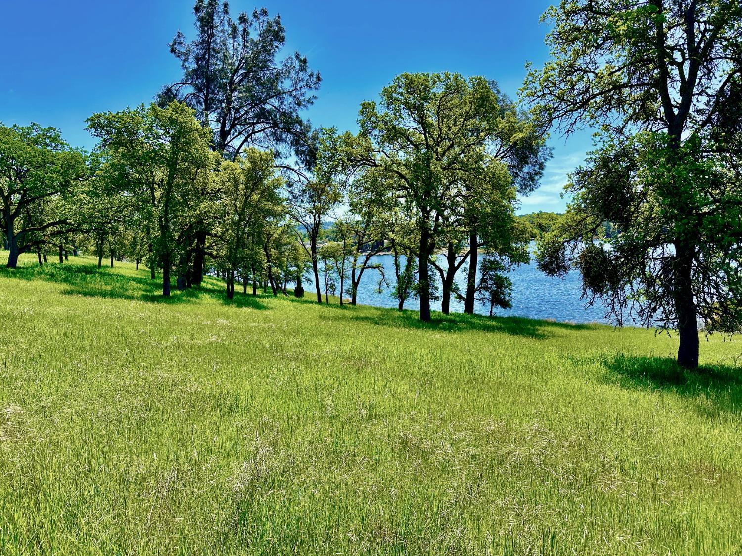 0 25 Lot Sanguinetti Estates, Copperopolis, CA 95228