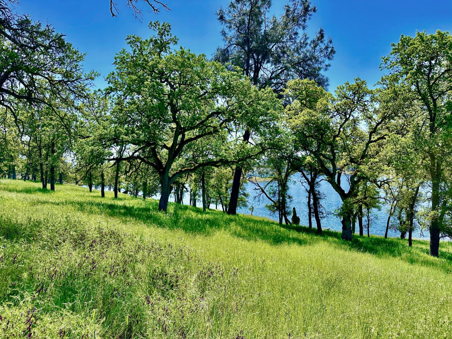 0 25 Lot Sanguinetti Estates, Copperopolis, CA 95228