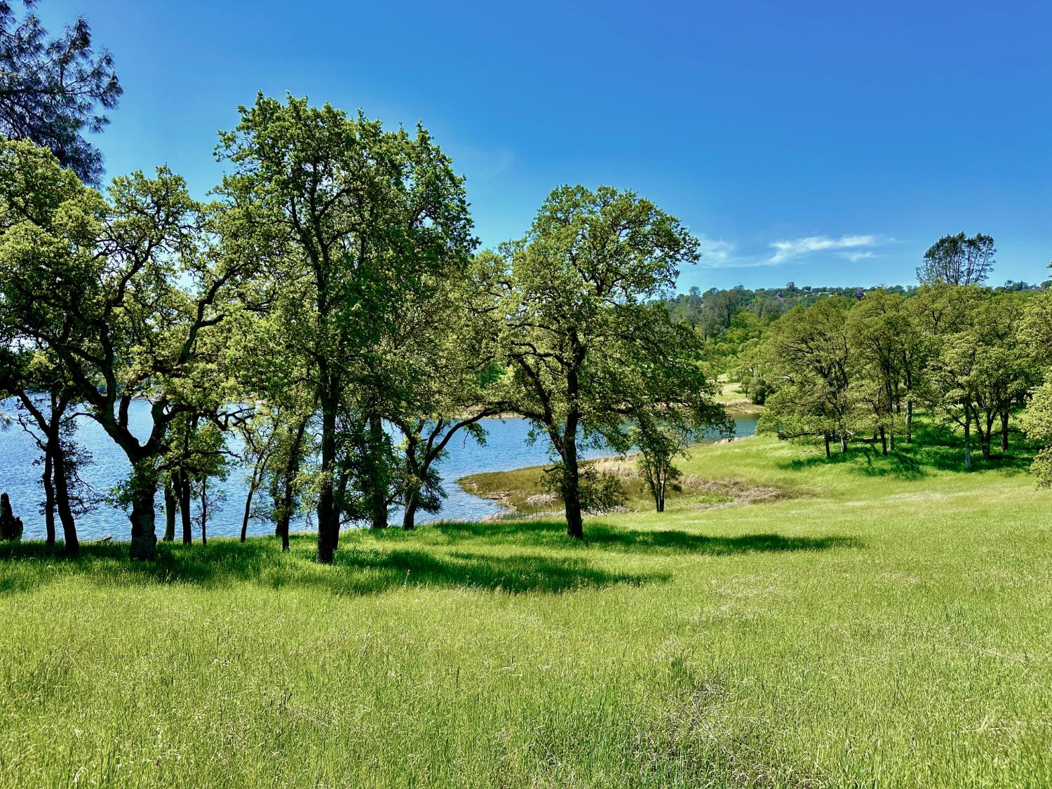 0 25 Lot Sanguinetti Estates, Copperopolis, CA 95228