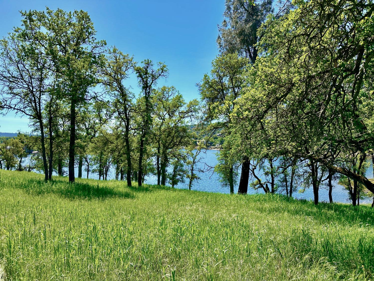 0 25 Lot Sanguinetti Estates, Copperopolis, CA 95228