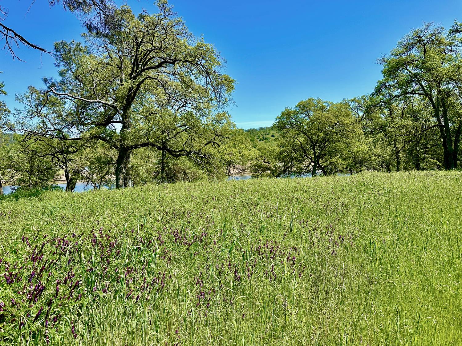 0 25 Lot Sanguinetti Estates, Copperopolis, CA 95228
