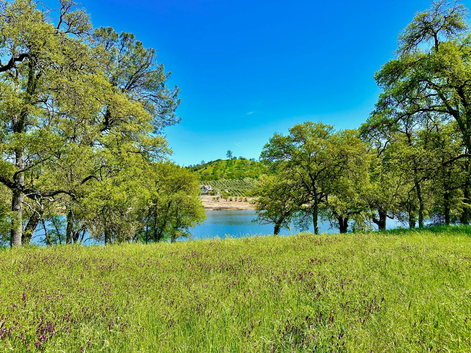 0 25 Lot Sanguinetti Estates, Copperopolis, CA 95228