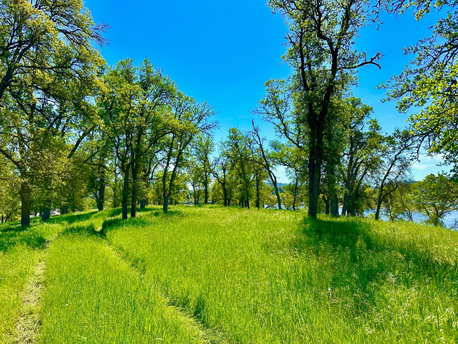 0 25 Lot Sanguinetti Estates, Copperopolis, CA 95228