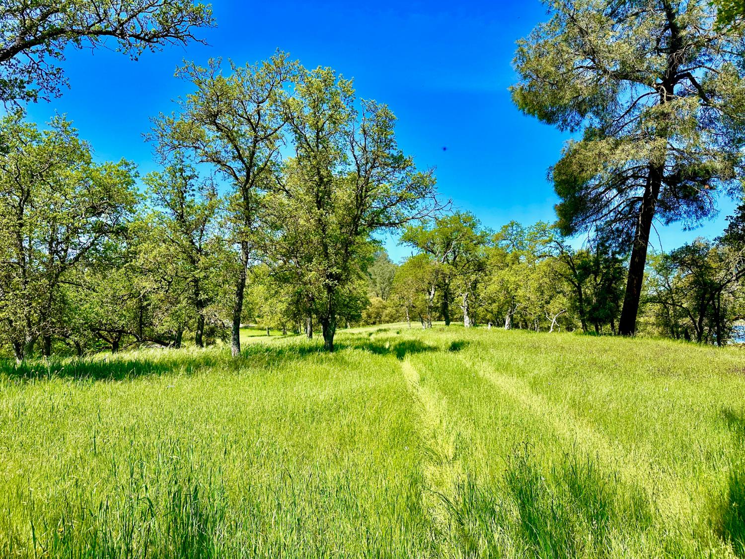 0 25 Lot Sanguinetti Estates, Copperopolis, CA 95228