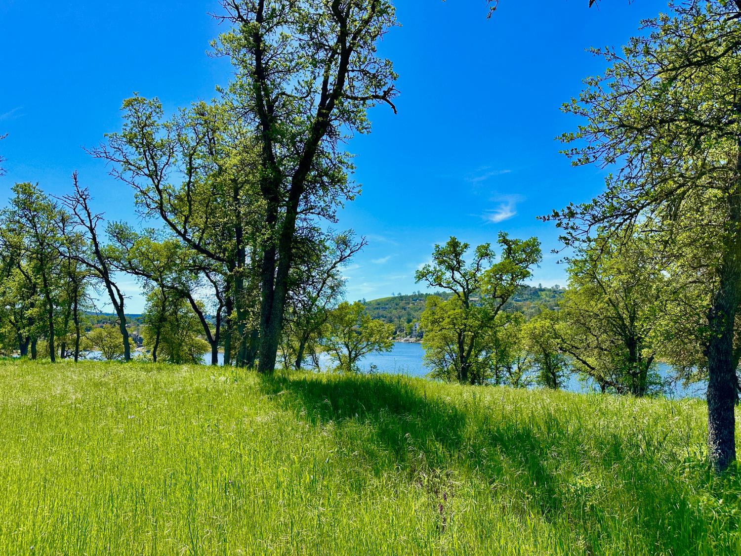 0 25 Lot Sanguinetti Estates, Copperopolis, CA 95228