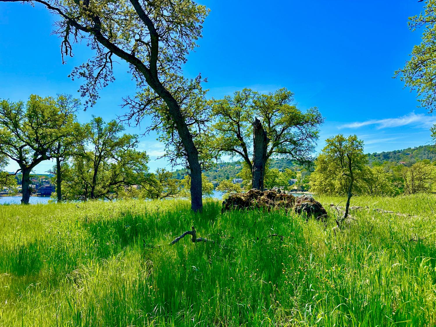 0 25 Lot Sanguinetti Estates, Copperopolis, CA 95228