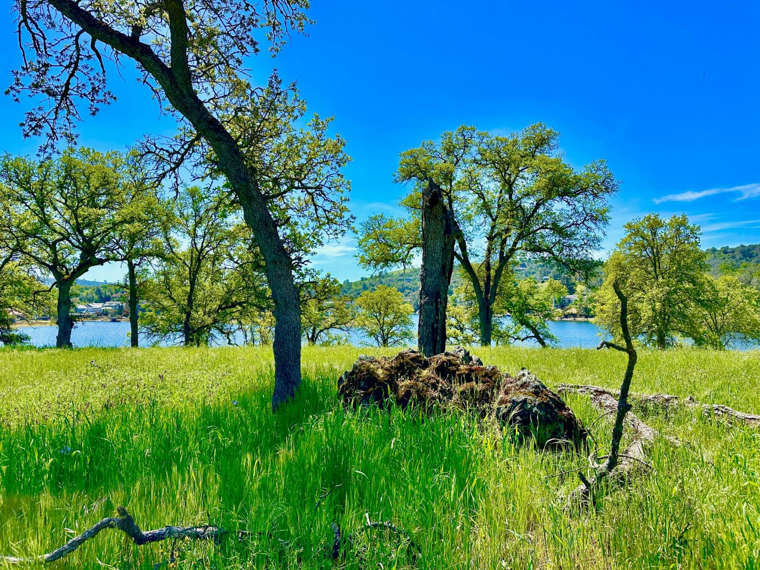 0 25 Lot Sanguinetti Estates, Copperopolis, CA 95228