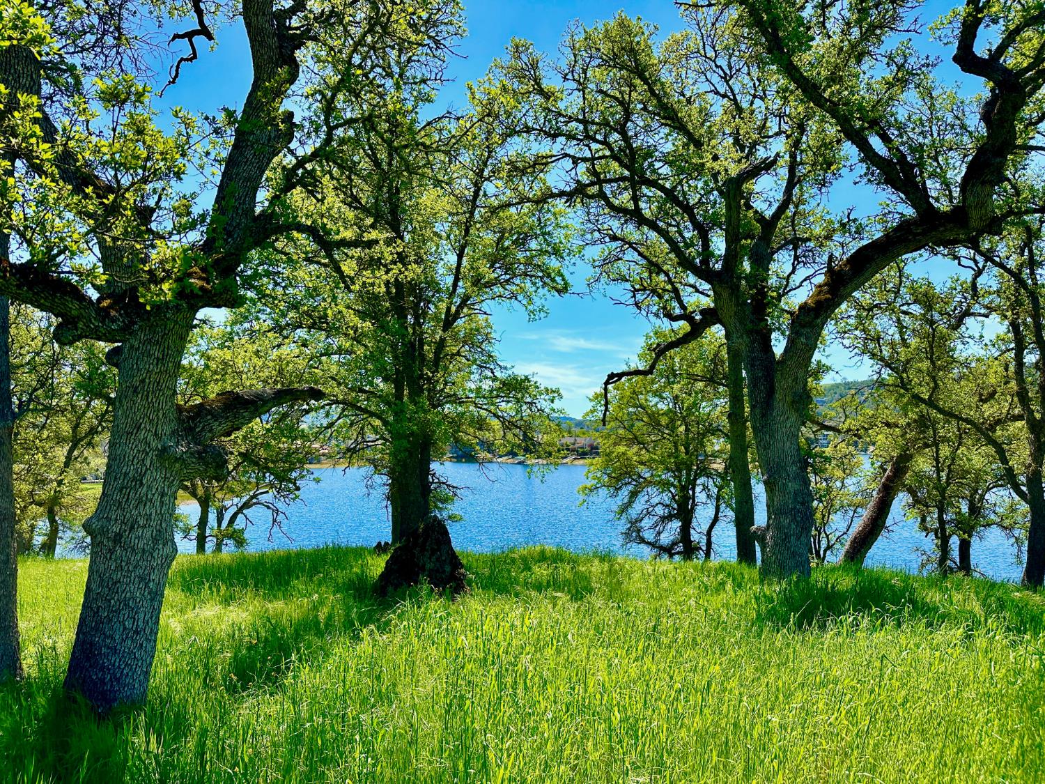 0 25 Lot Sanguinetti Estates, Copperopolis, CA 95228