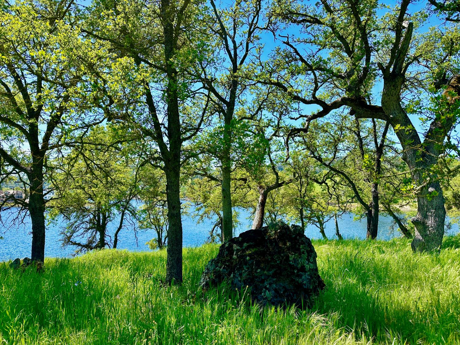 0 25 Lot Sanguinetti Estates, Copperopolis, CA 95228