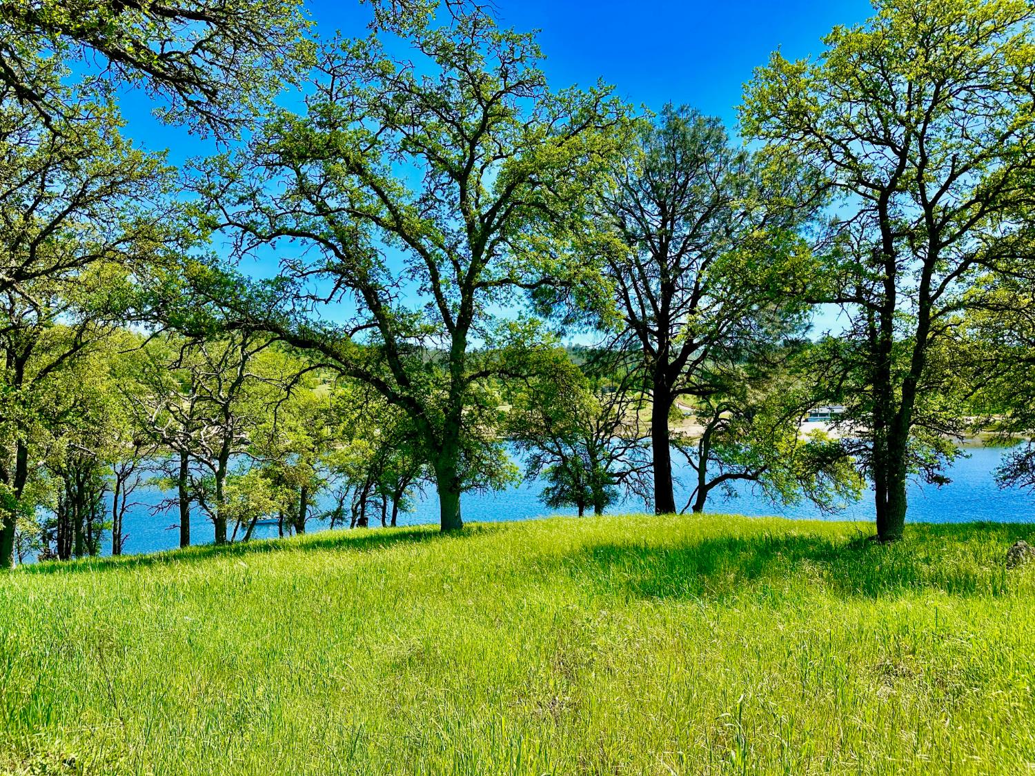 0 25 Lot Sanguinetti Estates, Copperopolis, CA 95228