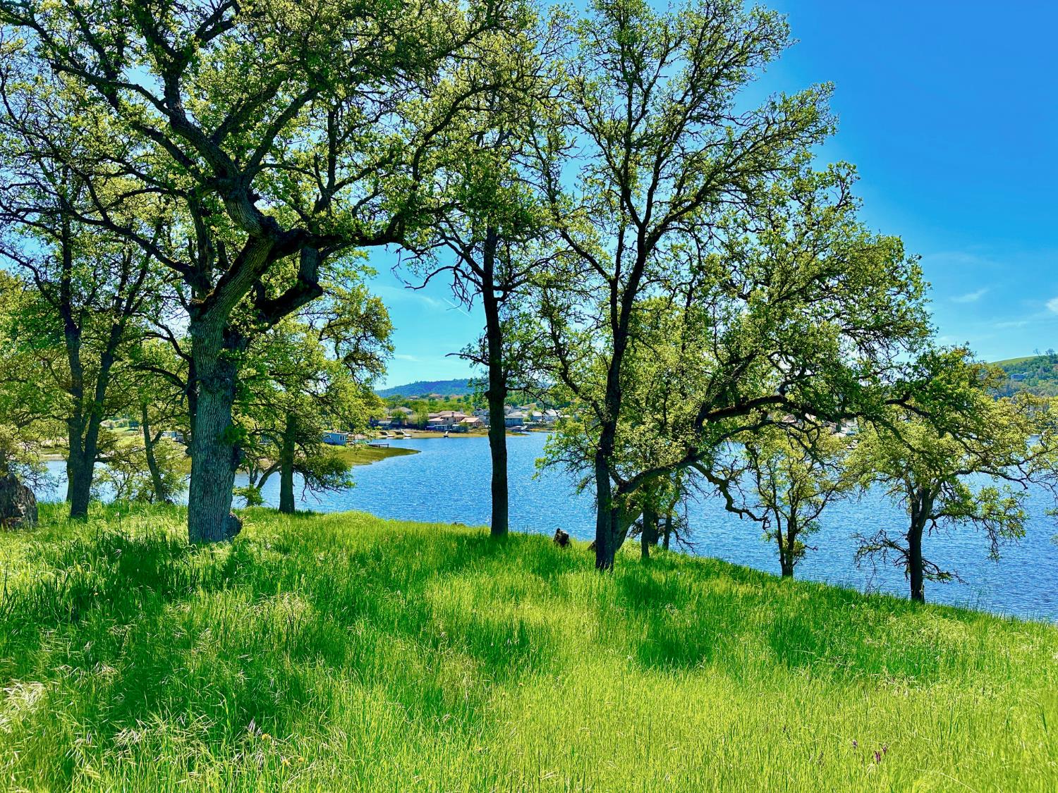 0 25 Lot Sanguinetti Estates, Copperopolis, CA 95228