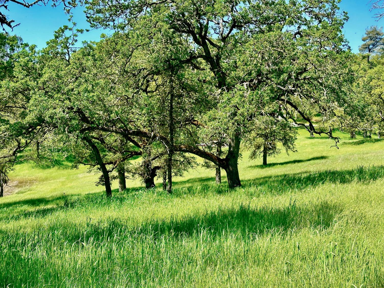 0 25 Lot Sanguinetti Estates, Copperopolis, CA 95228