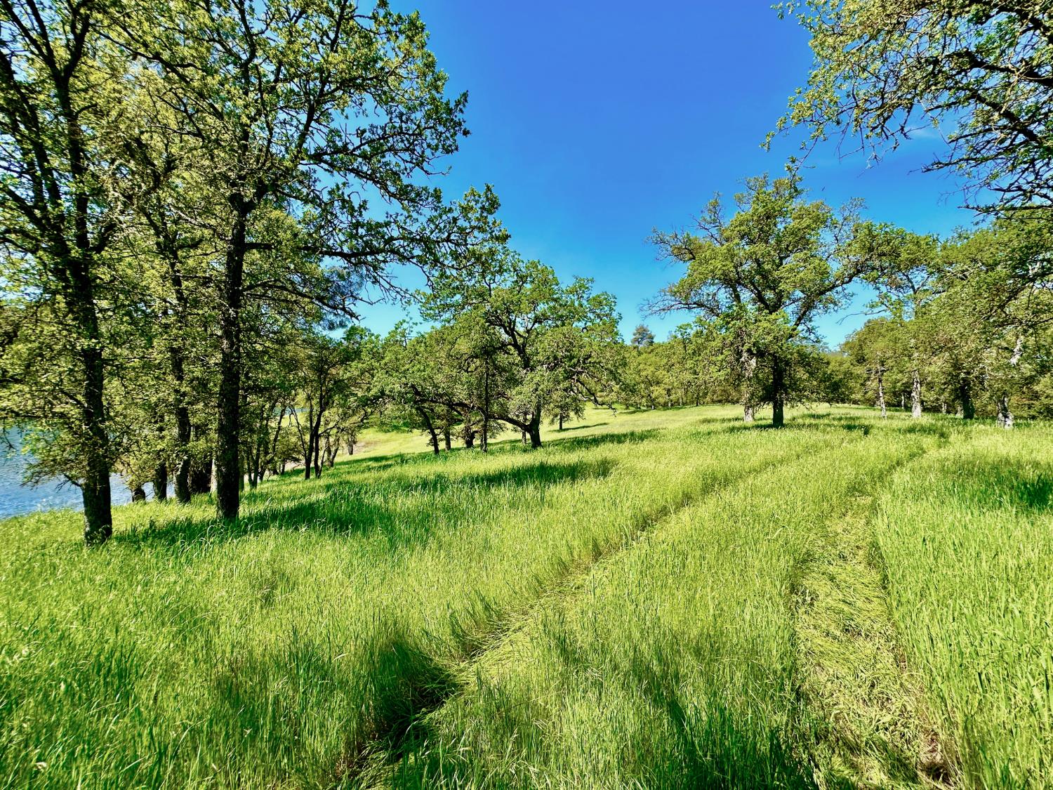 0 25 Lot Sanguinetti Estates, Copperopolis, CA 95228