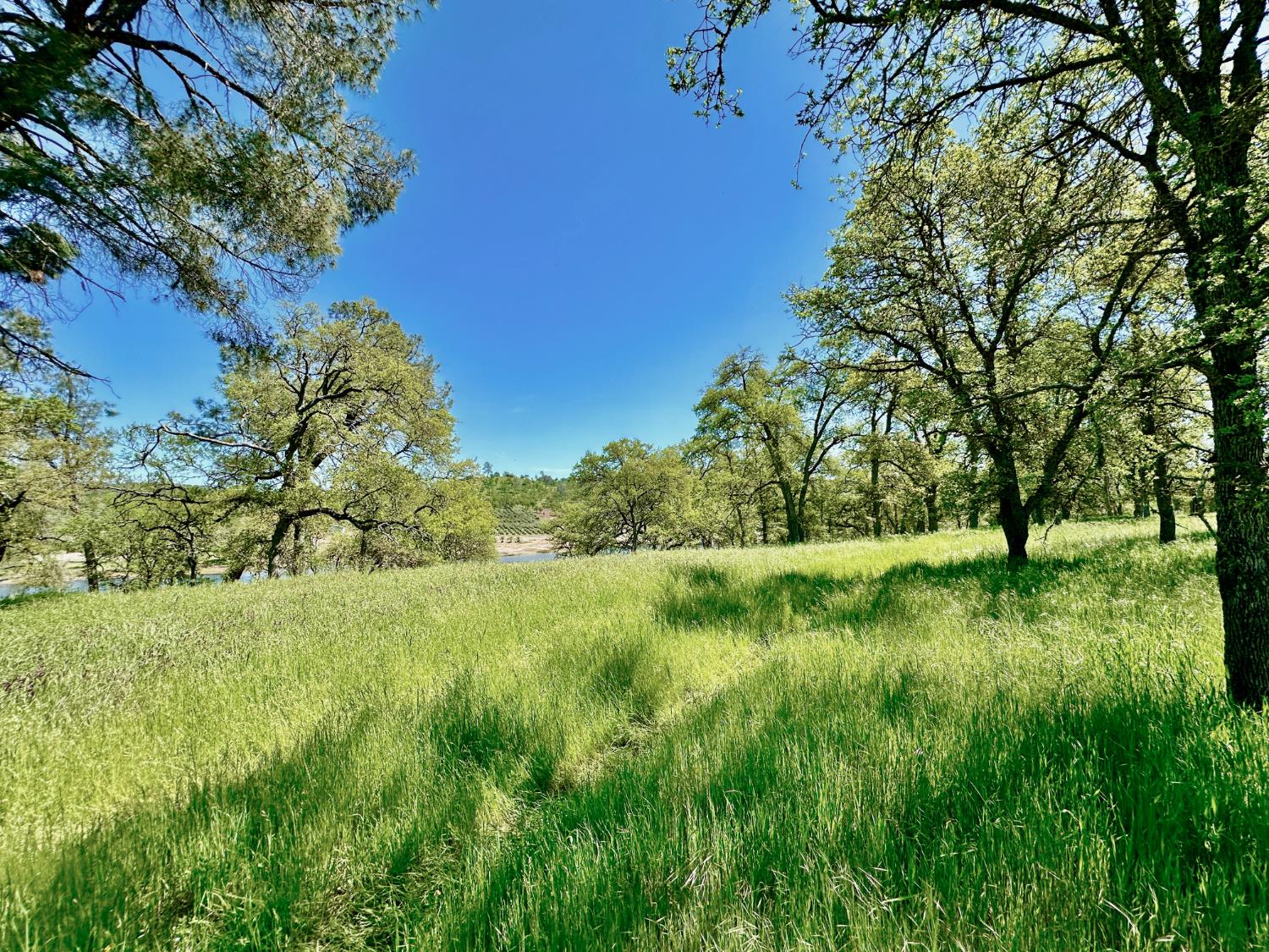 0 25 Lot Sanguinetti Estates, Copperopolis, CA 95228