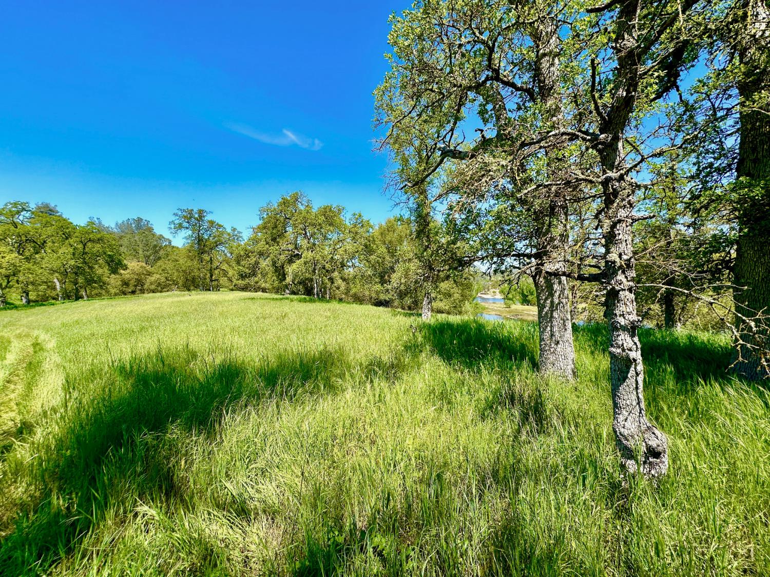 0 25 Lot Sanguinetti Estates, Copperopolis, CA 95228