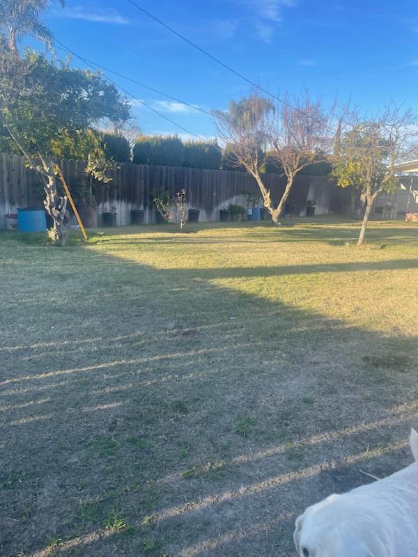 229 E St, Los Banos, CA 93635