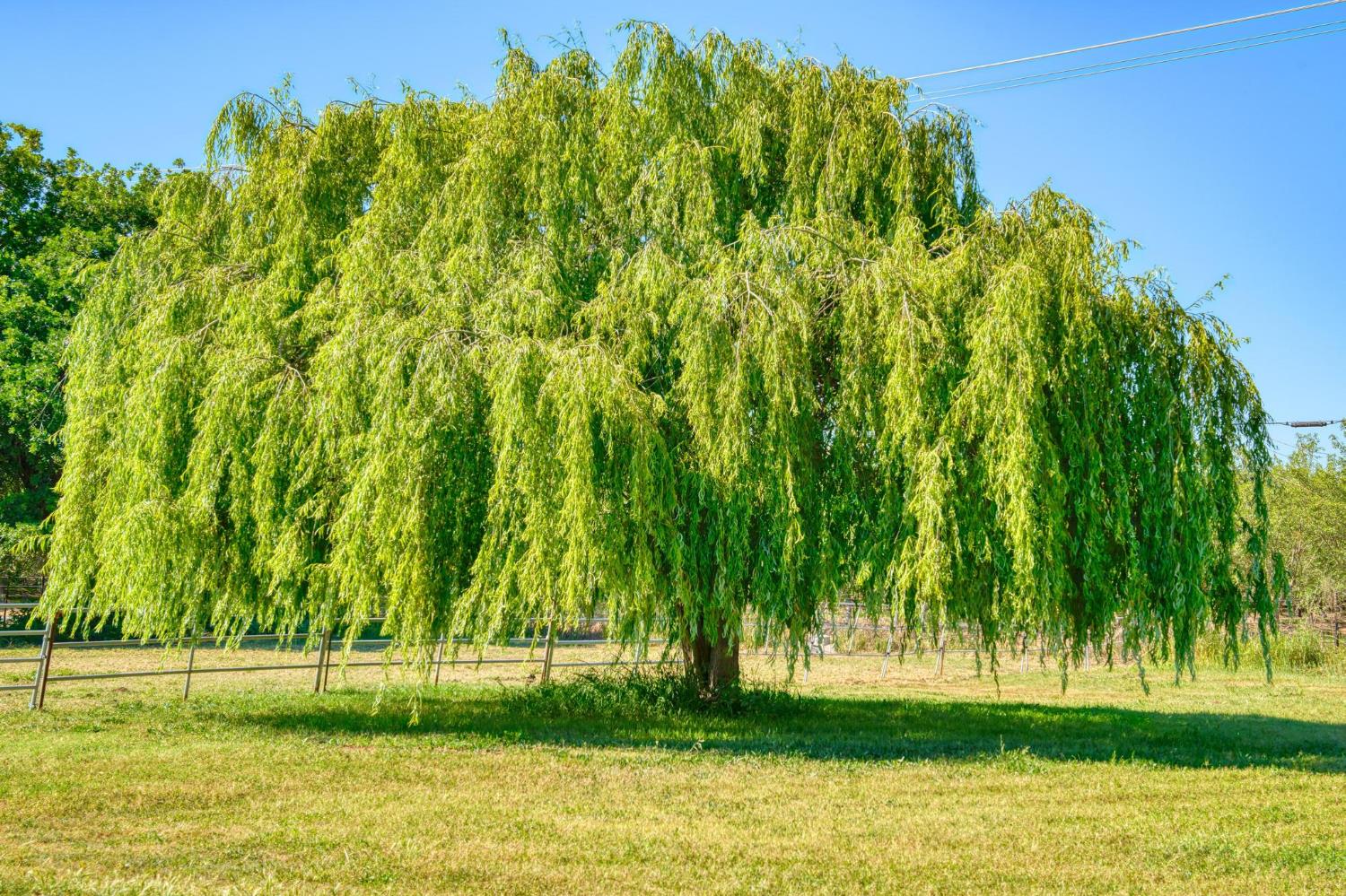 12518 Lone Oak Rd, Waterford, CA 95386