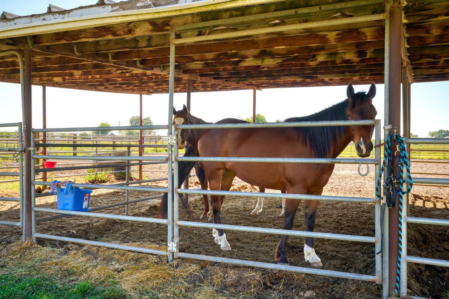 12518 Lone Oak Rd, Waterford, CA 95386