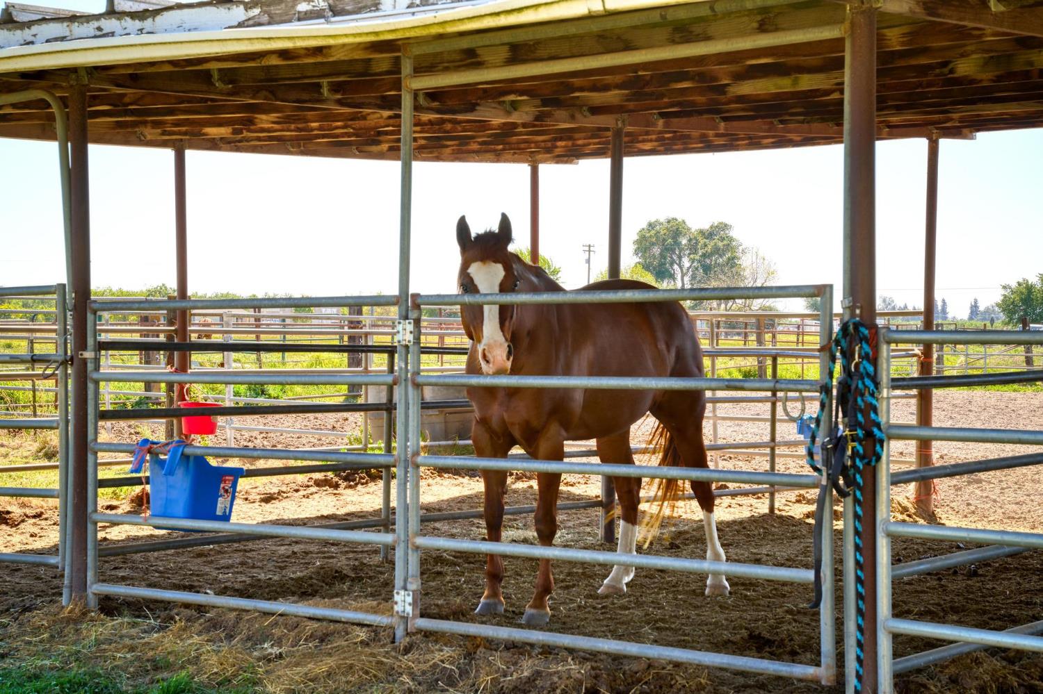 12518 Lone Oak Rd, Waterford, CA 95386