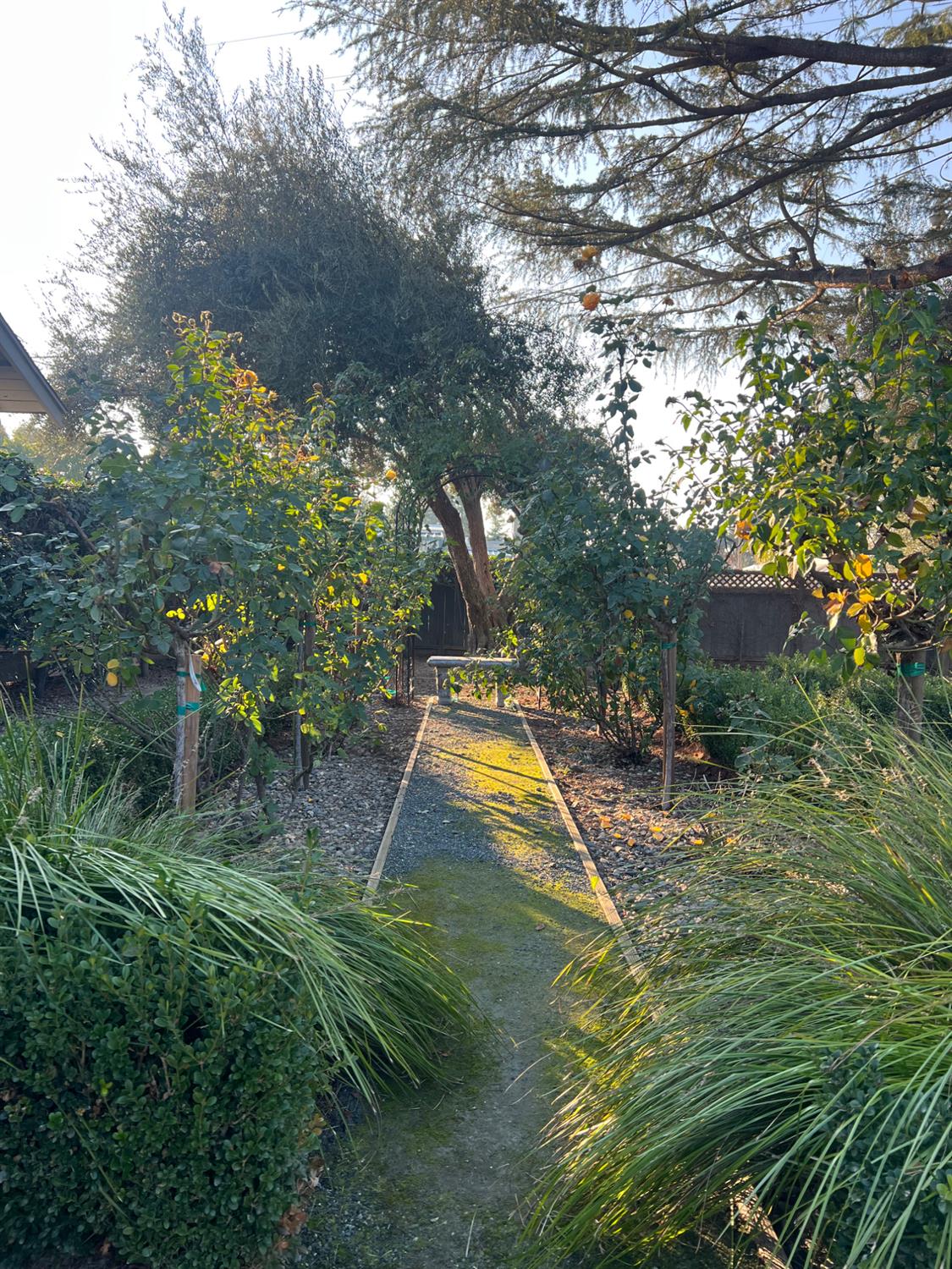 3955 Coffee #53, Modesto, CA 95355