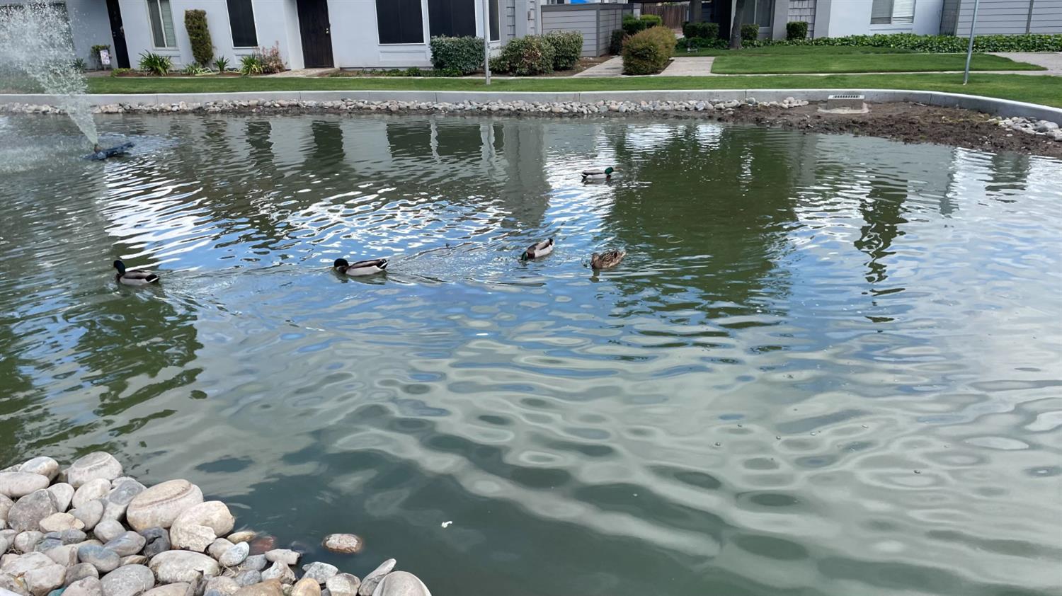 1313 Floyd Ave #127, Modesto, CA 95355