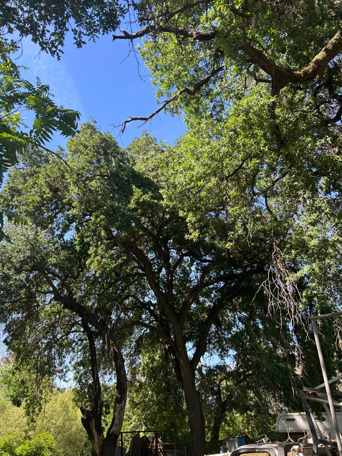 913 S Santa Cruz Ave, Modesto, CA 95354