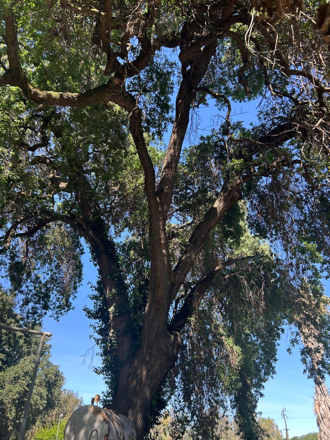 913 S Santa Cruz Ave, Modesto, CA 95354