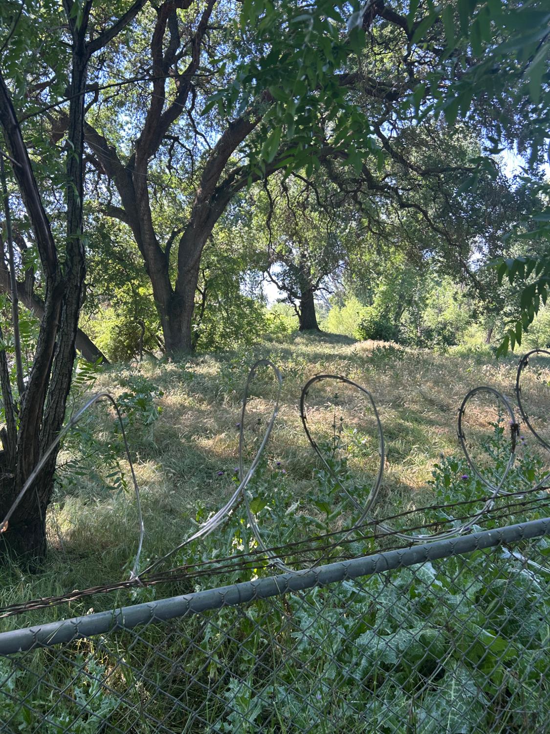 913 S Santa Cruz Ave, Modesto, CA 95354