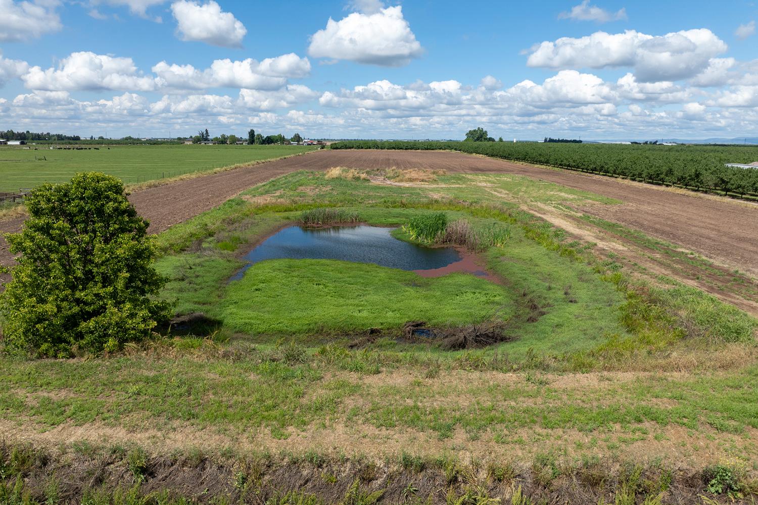 26149 Edwards Ave, Escalon, CA 95320