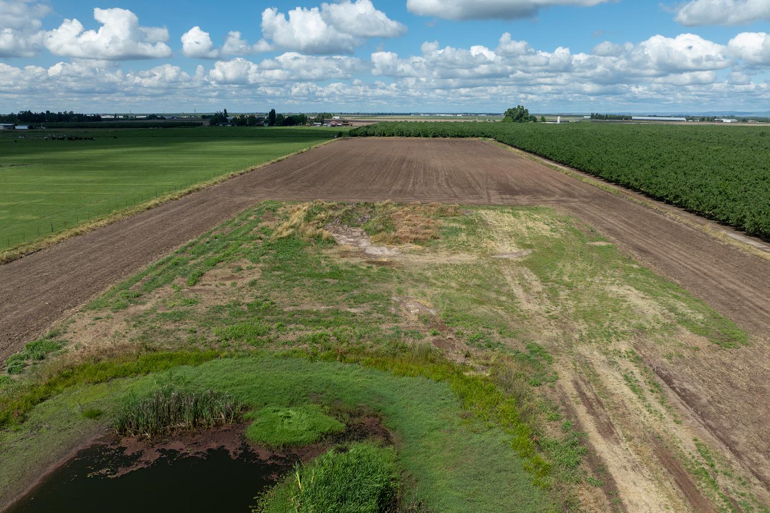 26149 Edwards Ave, Escalon, CA 95320