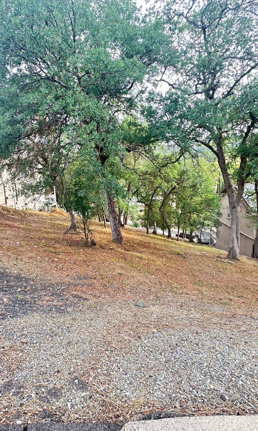 423 Winchester Way, Copperopolis, CA 95228