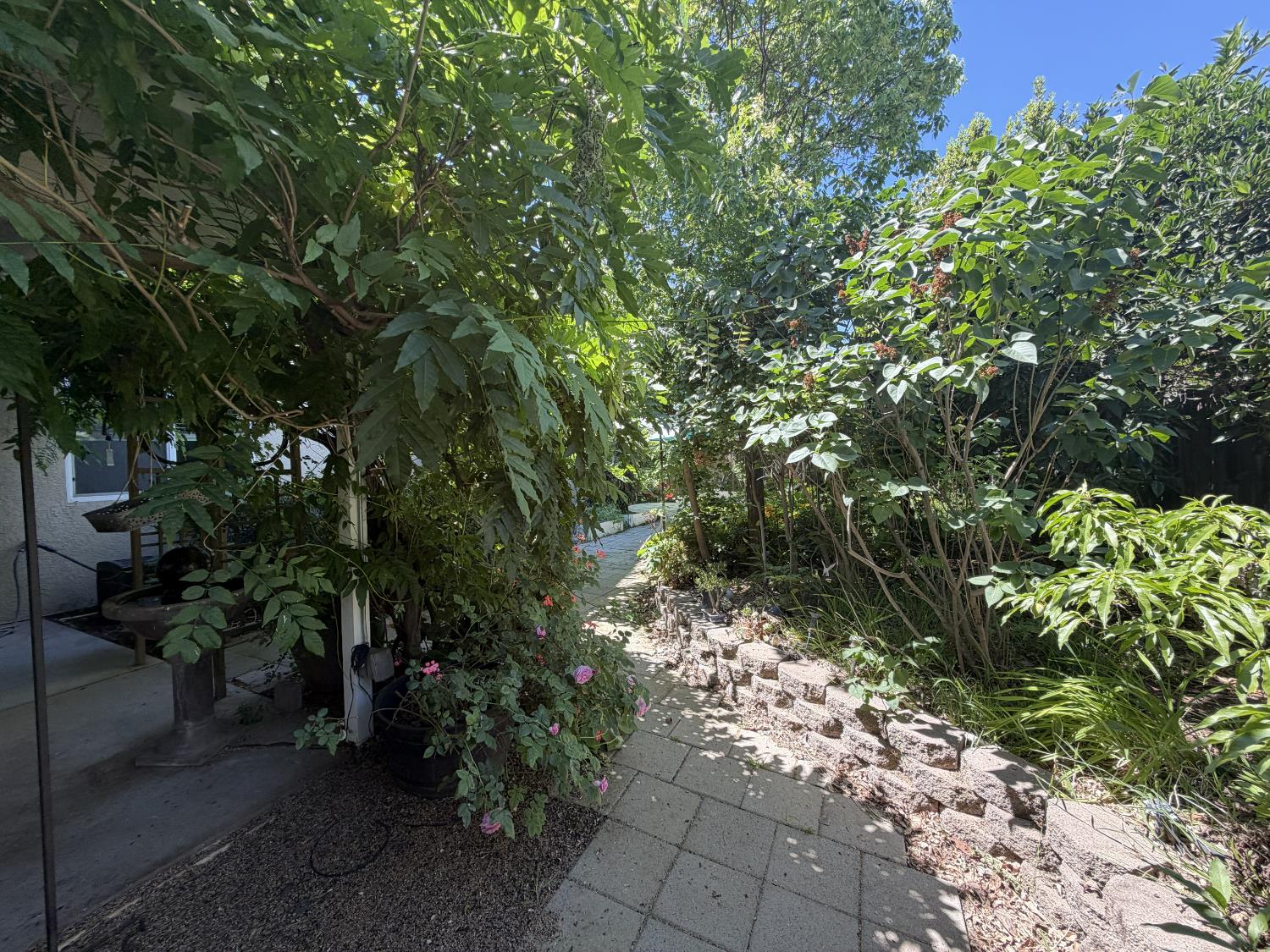 2859 Sierra Gold Ct, Riverbank, CA 95367