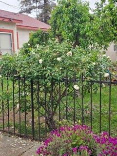 329 S Stockton Ave, Ripon, CA 95366