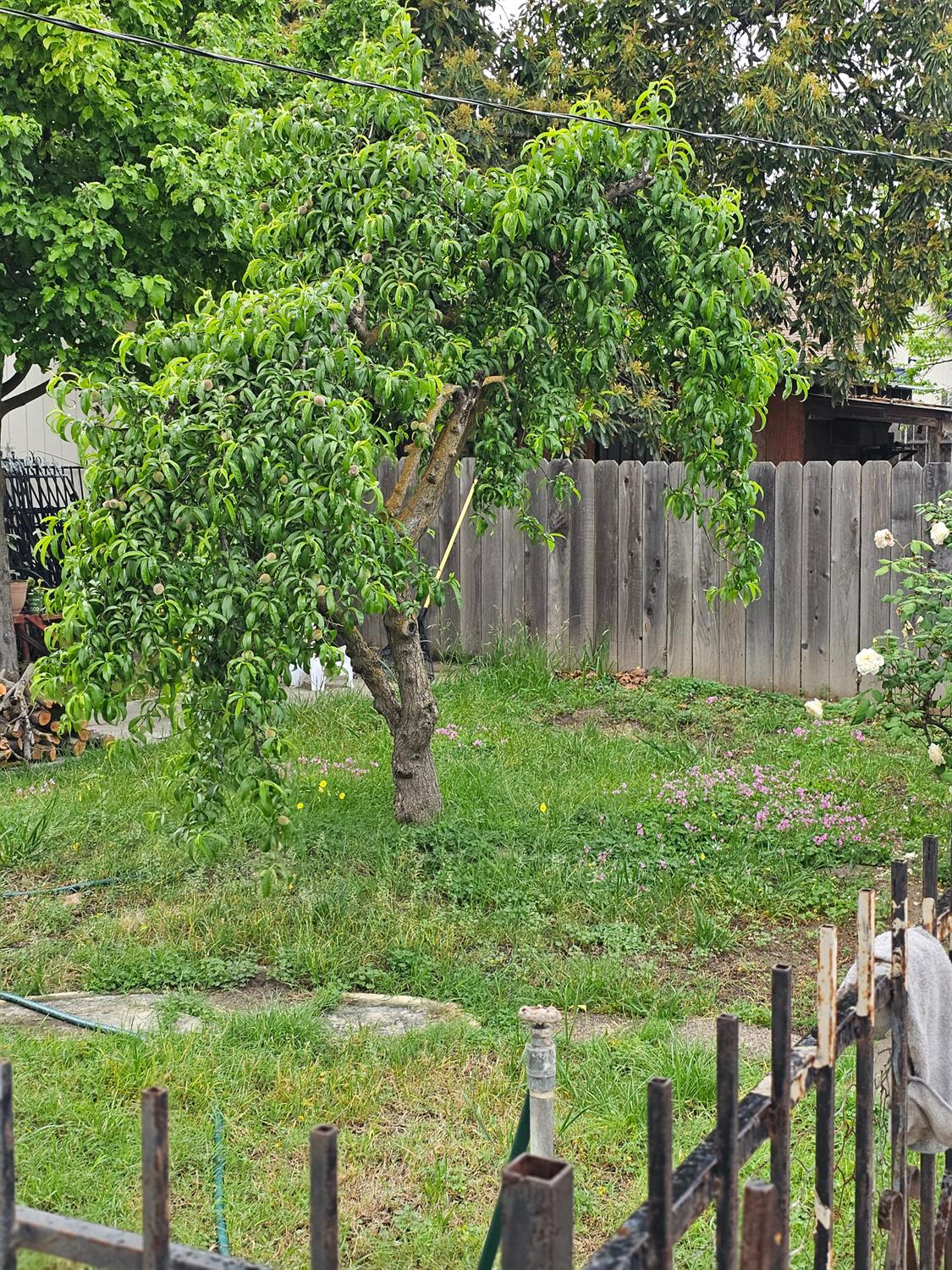 329 S Stockton Ave, Ripon, CA 95366