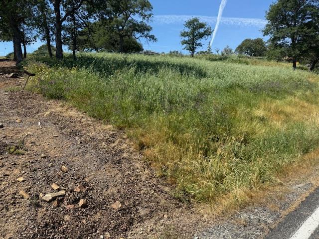 3982 Arrowhead St, Copperopolis, CA 95228