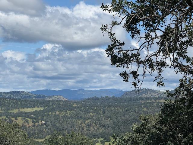 3982 Arrowhead St, Copperopolis, CA 95228