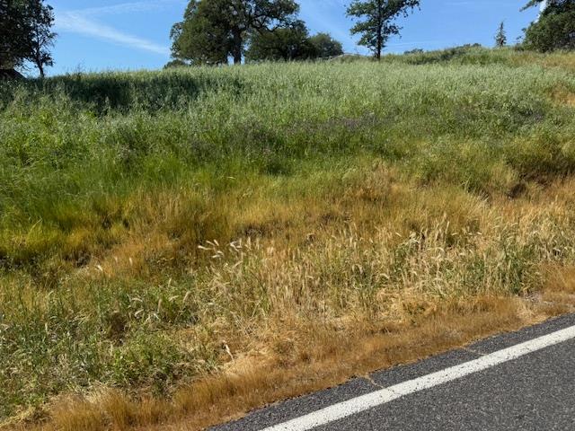 3982 Arrowhead St, Copperopolis, CA 95228