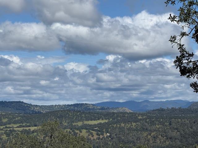 3982 Arrowhead St, Copperopolis, CA 95228