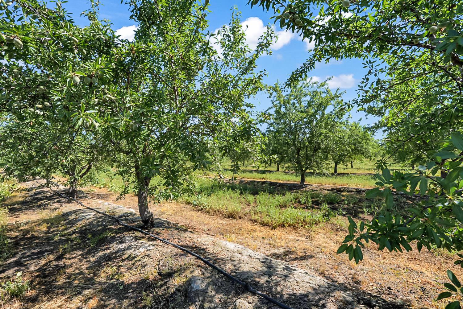 0 Buchanan Hollow Rd, Le Grand, CA 95333