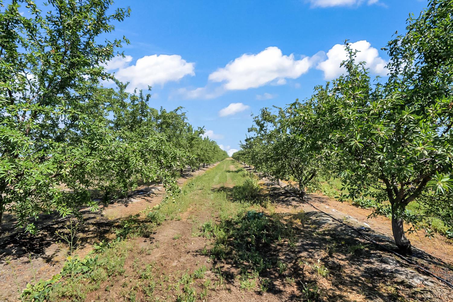 0 Buchanan Hollow Rd, Le Grand, CA 95333